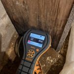 Identifying Common Areas Where Mold Thrives in Your Home