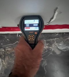 mold inpsection and testing near me