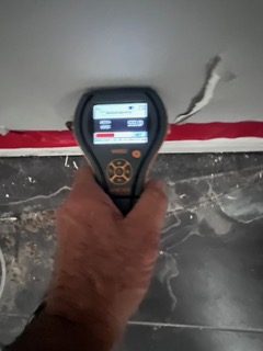 mold inpsection and testing near me