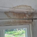 Common FAQ About Mold Inspections and Remediation