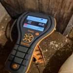 mold inspection company near me