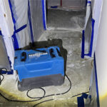 mold remediation lighthouse point