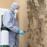 Key Steps in Mold Remediation: A Detailed Guide